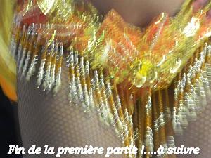 AOBR 2012 02 19 ST VALENTIN A PLAN DE CUQUES (38) PAR GM